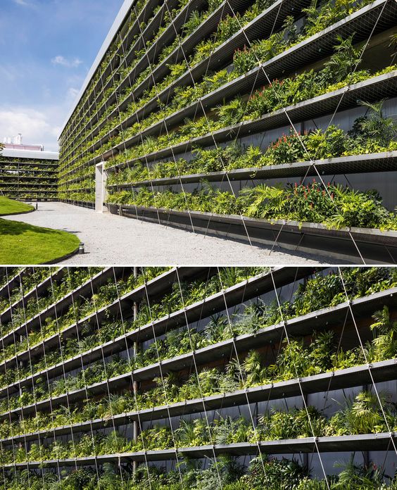 Rows Of Plants Line The Exterior Of This Factory Building