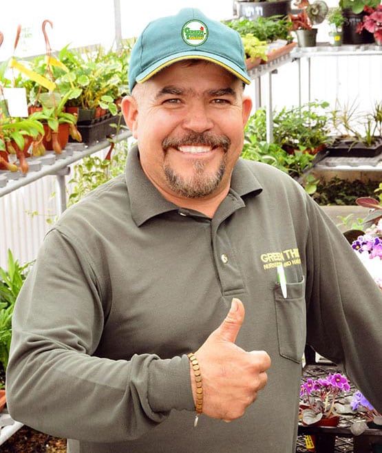 Pin On Gardening Tips With Vinegar Pin On Gardening Tips With Vinegar