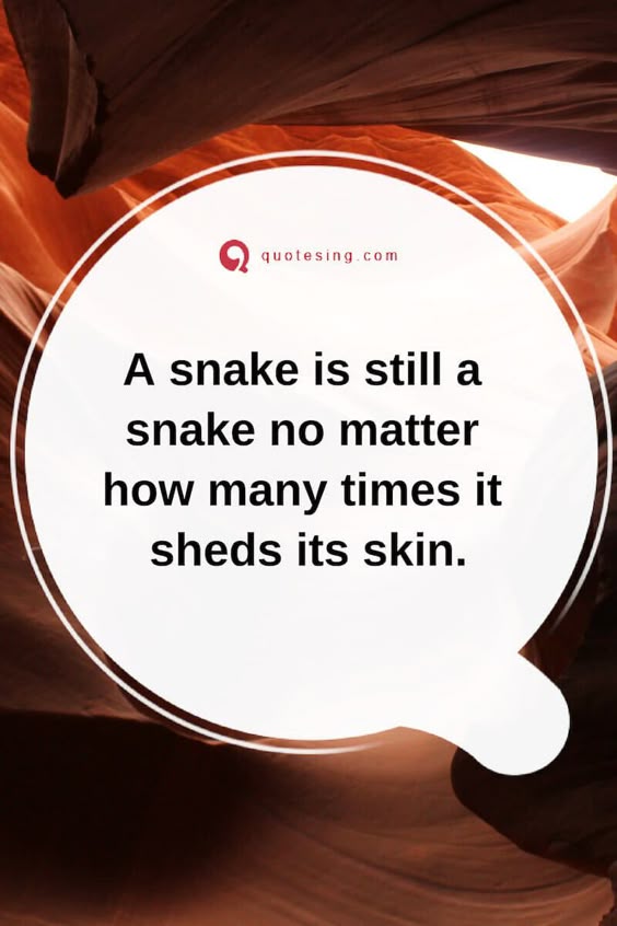 Fake people quotes with images - Quotesing