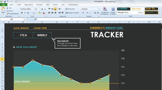 weight loss excel
