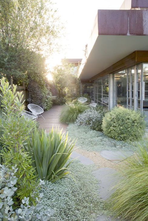 Mid Century Garden Planting Drought Tolerant Plants California