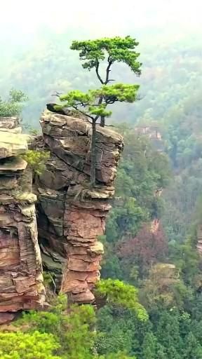 solo.travell3r like to go here 😍_inst.