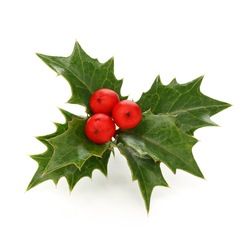 Stock Image: Holidays