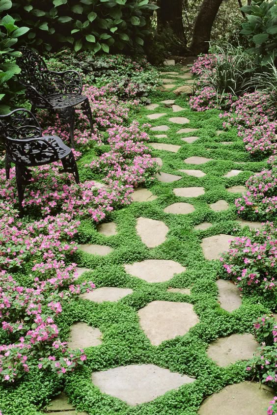 Ideias para Jardim: Dicas de como criar um jardim simples