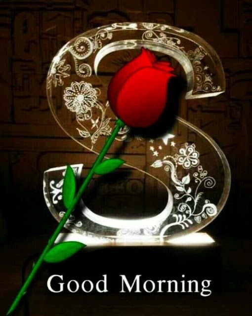 lions-with-good-morning