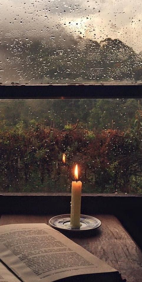 Rainy day 📖🍵 uploaded by isabella on We Heart It