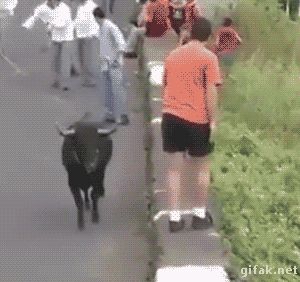 Gifaknet Lustige Streiche Gif Bilder Lustig Witzig