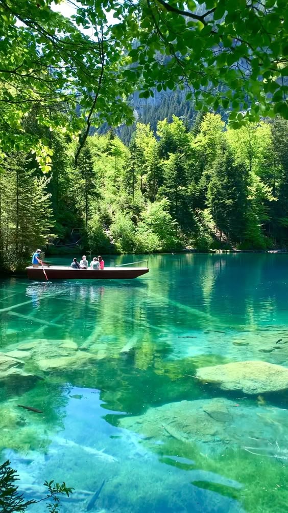 Blausee, Switzerland 🇨🇭