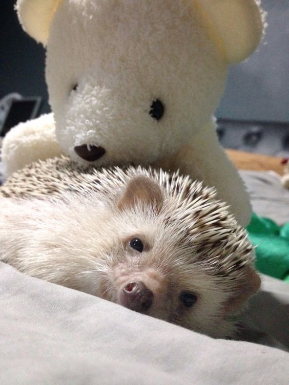 Sweet dreams...