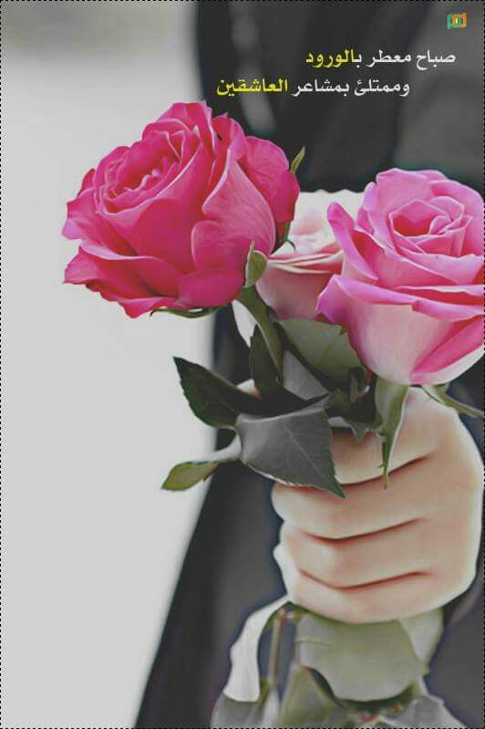 Pin By Ghada Elsayed On كلمات لها معني Rose Flowers Plants