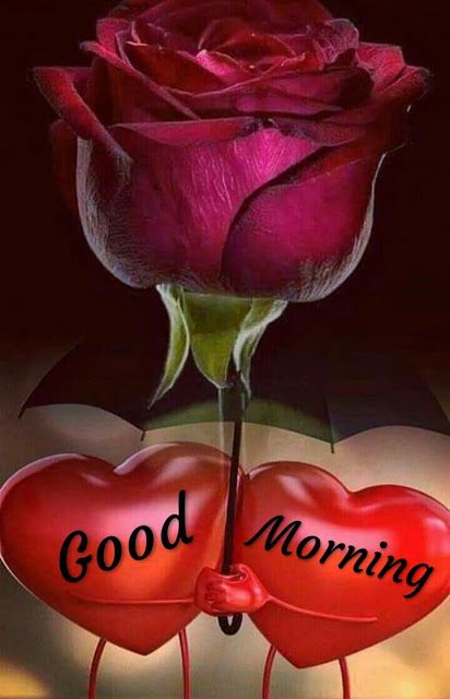 63+ Good Morning Images For Whatsapp 2023 || Good Morning Images For Whatsapp || Good Morning Images