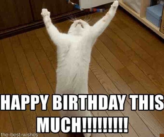 45 Funny Happy Birthday Meme Harvest