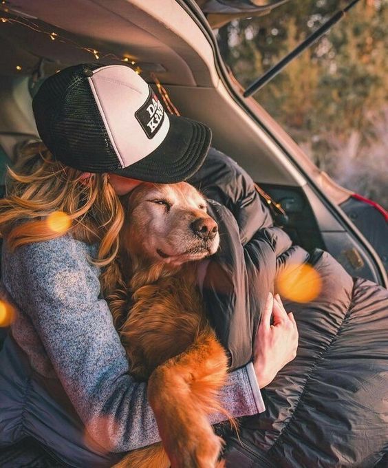 Szjg Instagram Dogs Golden Retriever Puppies Pets
