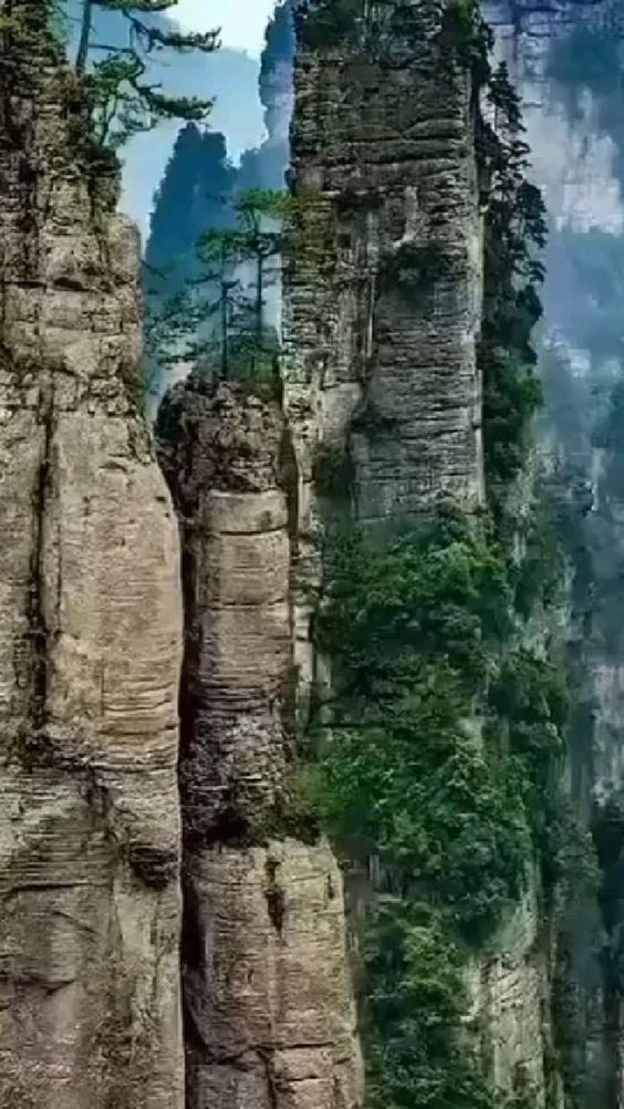 🇨🇳Zhangjiajie National Park is the place where the movie "Avatar" was filmed.