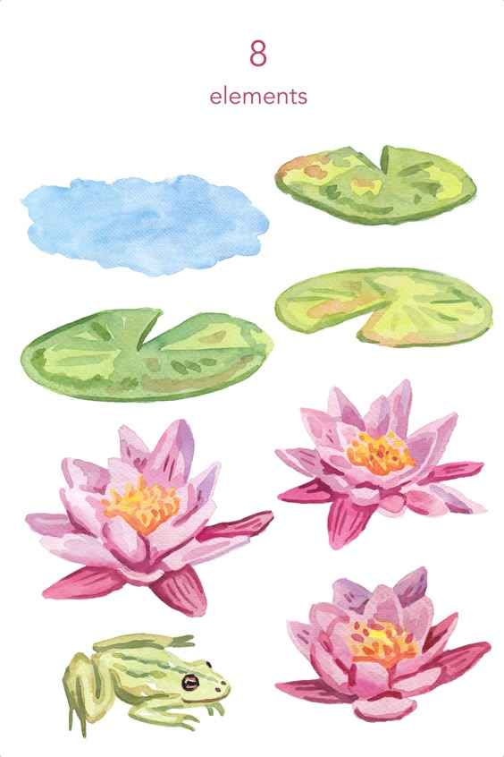 WATERCOLOR CLIPART, water lily clipart, watercolour clipart set, commercial use, png files, lilies clip art, swamp, png, digital, floral