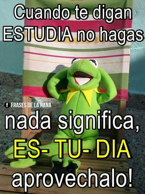 ES TU DIA