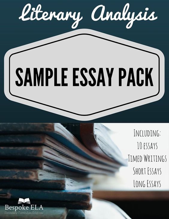 Literary Analysis Essay Ratiocination Activity with Sample Essays - sample analysis Literary Analysis Essay Ratiocination Activity with Sample Essays - sample analysis