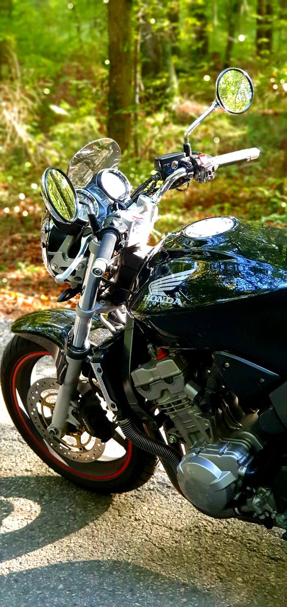 Honda Hornet 900/ Honda 919