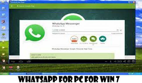 download whatsapp business pc download whatsapp business pc