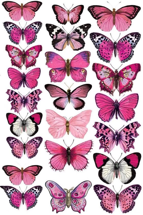Free Printable butterflies