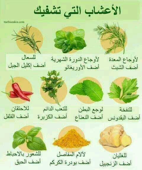 Pin By Ali Saif On Skin Facial Treatments Skin Care Wrinkles Organic Skin Care Aging Skin Care