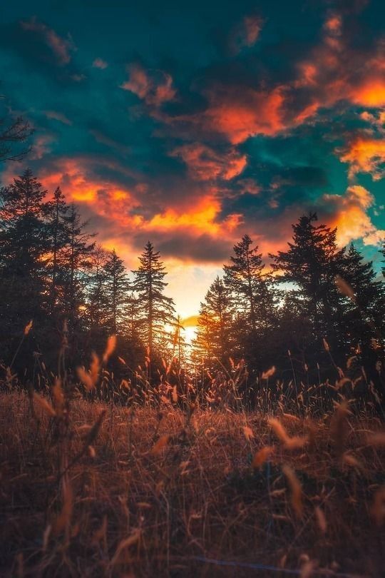 Beauty Of Natureπππ² on Twitter | Nature pictures, Beautiful nature pictures, Fine art landscape photography