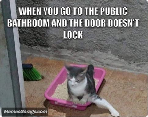 When You Go To The Public Bathroom And The Door Doesn't Lock and other funny memes.