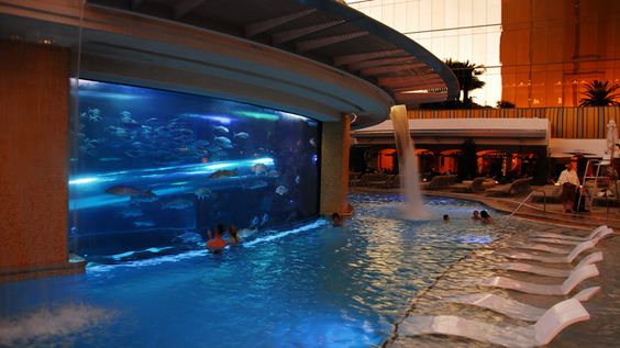 Fantastic Pools Zwembaden Droomhuizen Zwembad