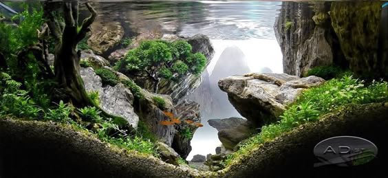 I have no idea where the background came from but what I great looking planted tank!! I love it:)