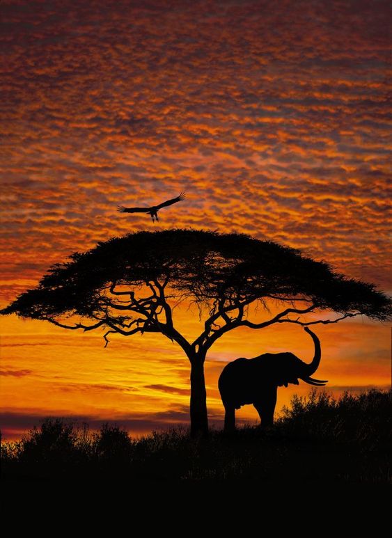 Serengeti Dusk - 25x30cm