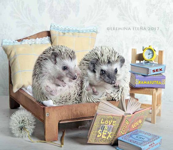 ))) by Elena Eremina