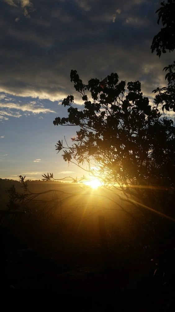 good-evening-nature-photos
