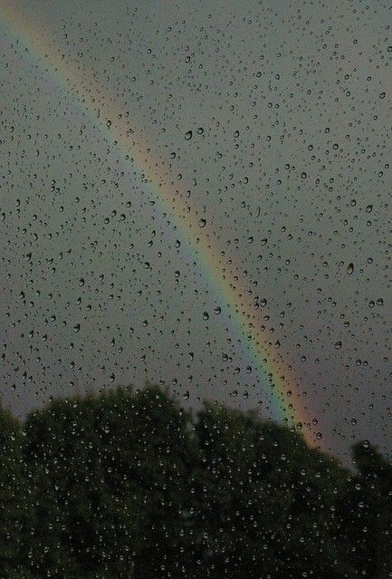Rain and Rainbow