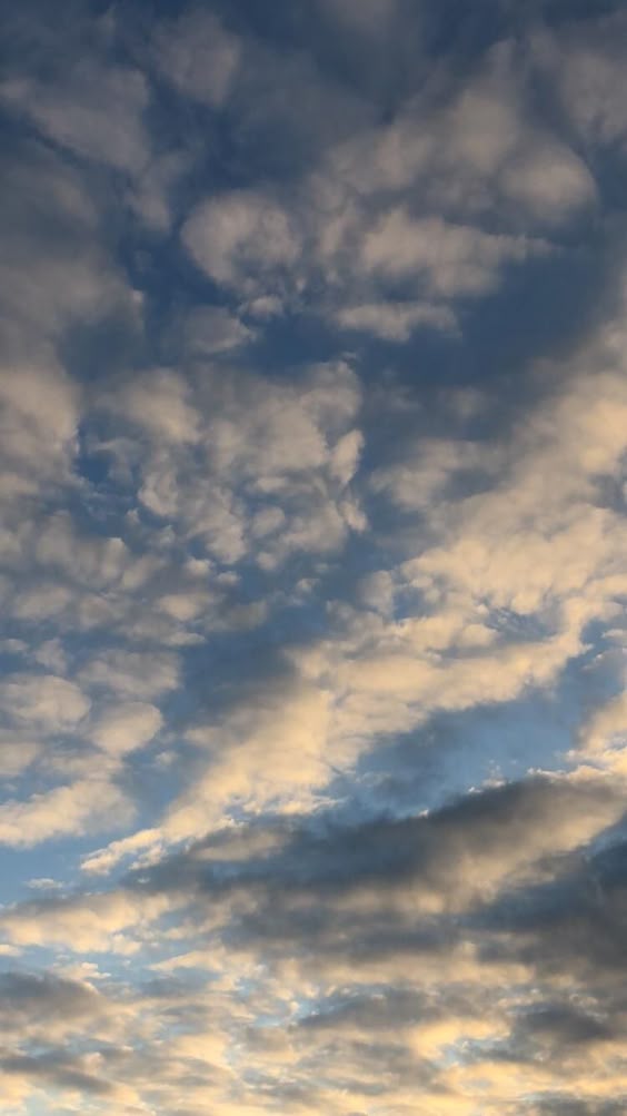 Sum cloud action
