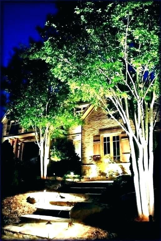 30 Diy Lighting Ideas At Night Yard Landscape With Outdoor Lights Yard Landscape With Outdoor Lights