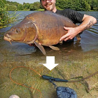 Sicher ist Sicher! | Karpfen angeln, Karpfenfischen, Angeltricks Sicher ist Sicher! | Karpfen angeln, Karpfenfischen, Angeltricks