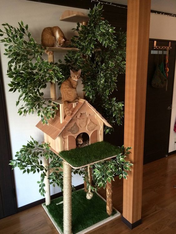 Creative Diy Cat House Ideas For Indoor Outdoor For All Cat Lovers Cat House Diy Cat Tree House Diy Cat Tree