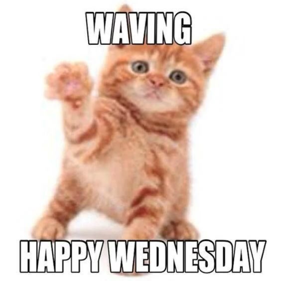 happy-wednesday