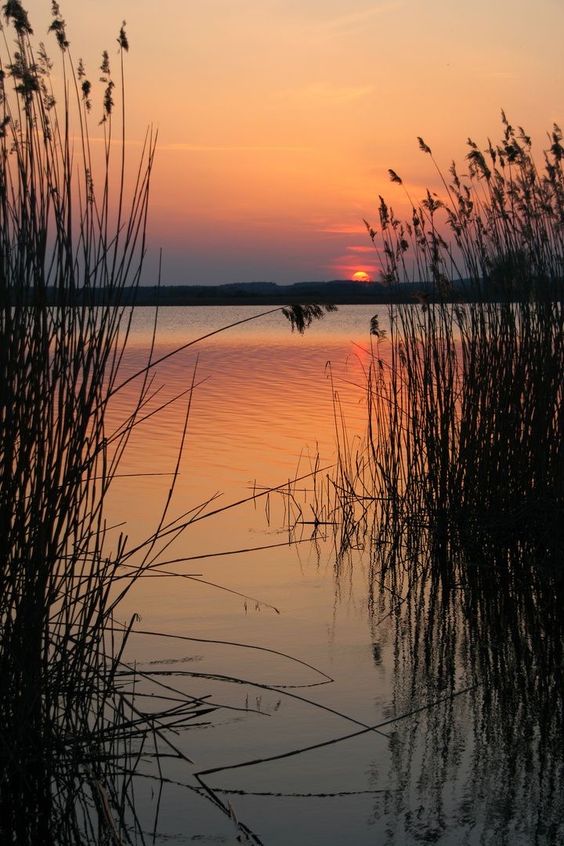 *π©πͺ Evening at the lake (Germany) by M. Reichel π