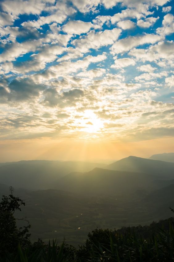 Premium Photo | The sun rise in the morning sky.dark shadows, forests and trees