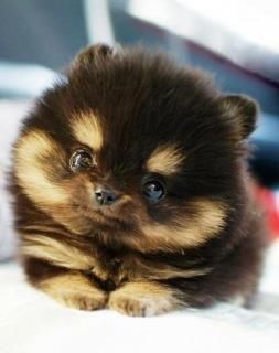 want!