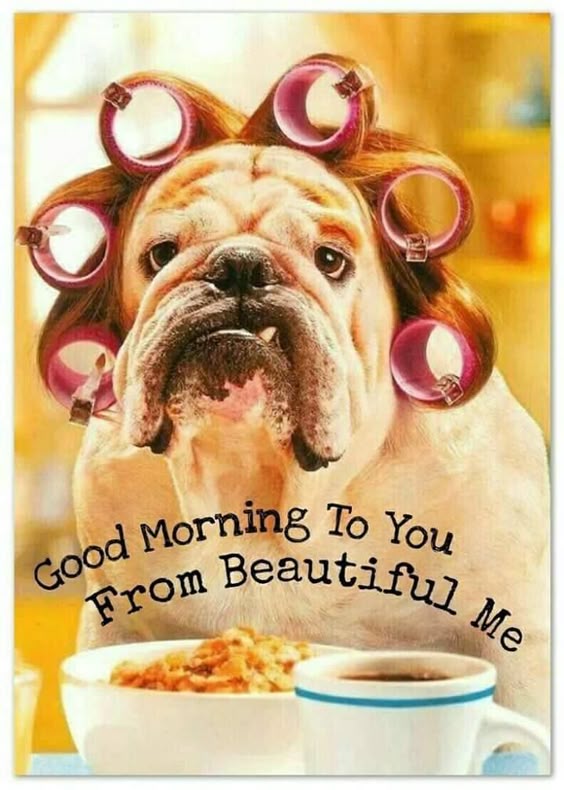 Goedemorgen allemaal | Enjoy | Diaantje