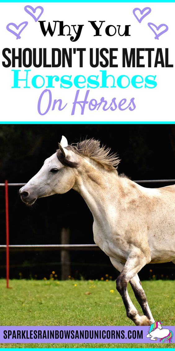 You know horses wear shoes and have seen a metal horseshoe before, but do horses actually need to wear shoes? Did you know that like wild horses, some horses in captivity donāt wear shoes? Learn more about the harms of metal horseshoes, the mechanisms of the hoof and alternatives.
