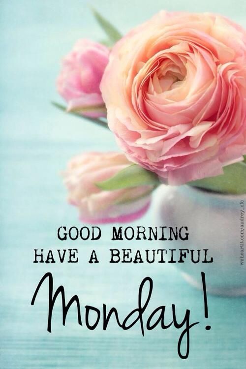 happy-monday
