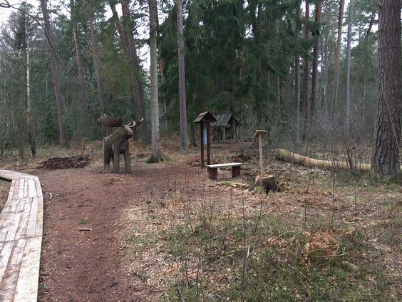 Прогулка по тропе