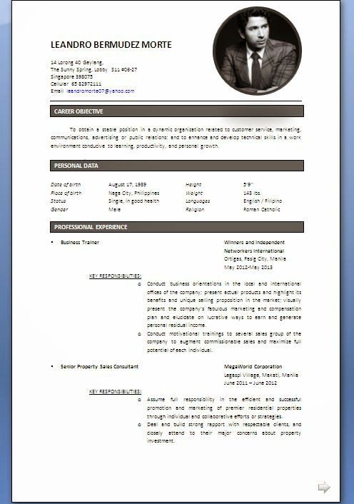 curriculum vitae skills Sample Template Example ofExcellent Vitae - resume format singapore curriculum vitae skills Sample Template Example ofExcellent Vitae - resume format singapore