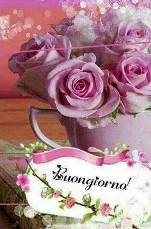 Buon Inizio Settimana Buongiorno Buongiorno Buongiorno