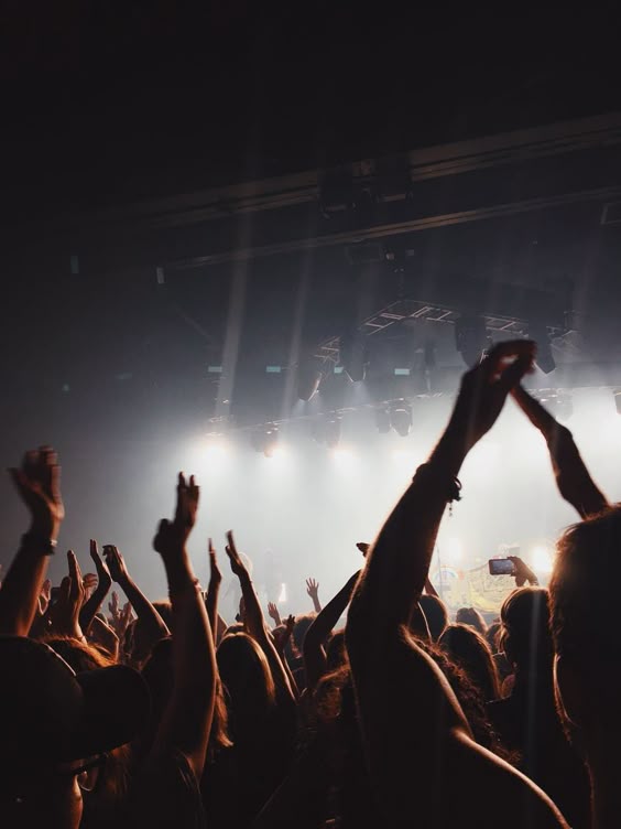 7 Tips for Musicians to Have Amazing Live Concerts – Mella Music