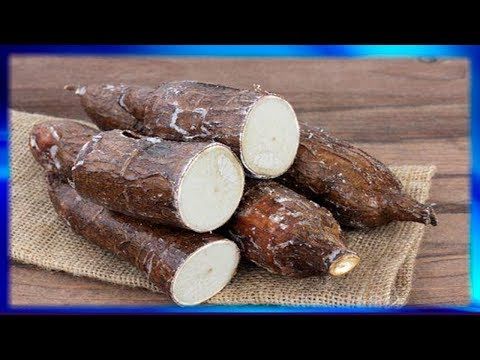 pérdida de peso en la dieta de aipim