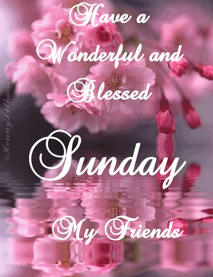 Have a wonderful and blessed Sunday, my friends sunday sunday quotes sunday greeting sunday blessings good morning sunday sunday gifs animated sunday sunday friends & family